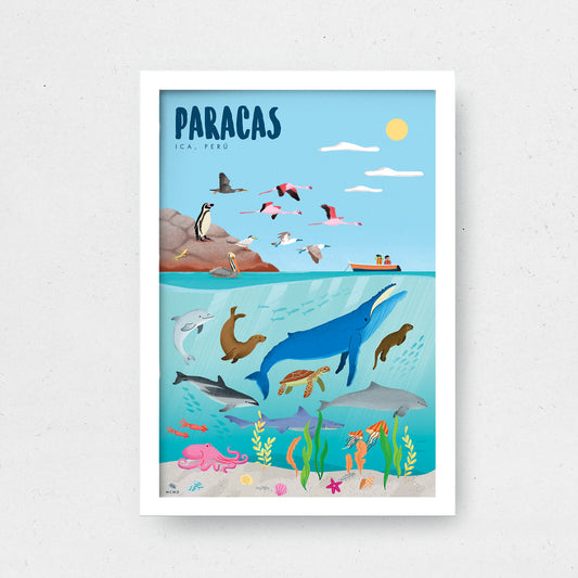 Art Print Paracas